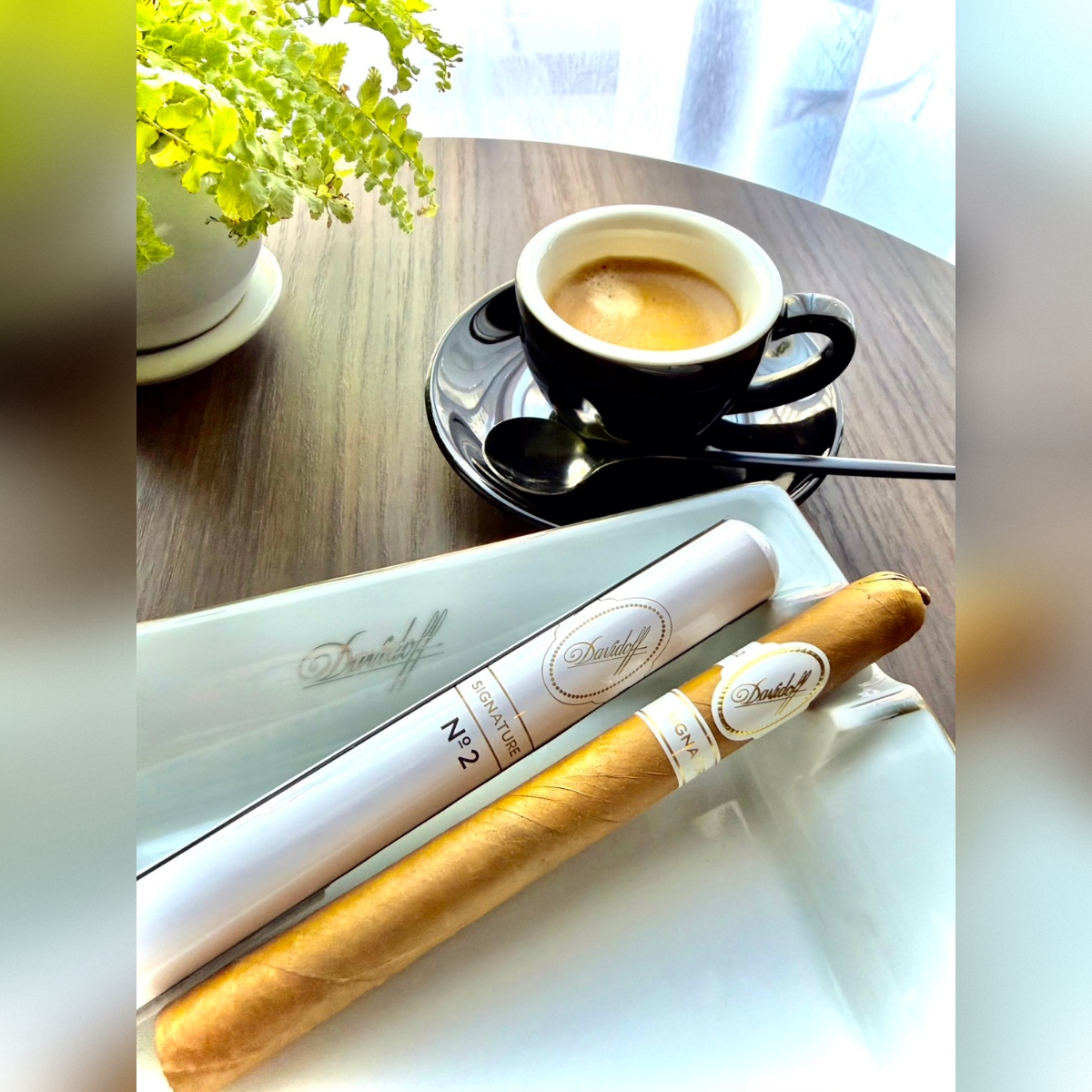 ダビドフ葉巻No.2
